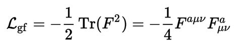 Gauge theory & Yang-Mills theory