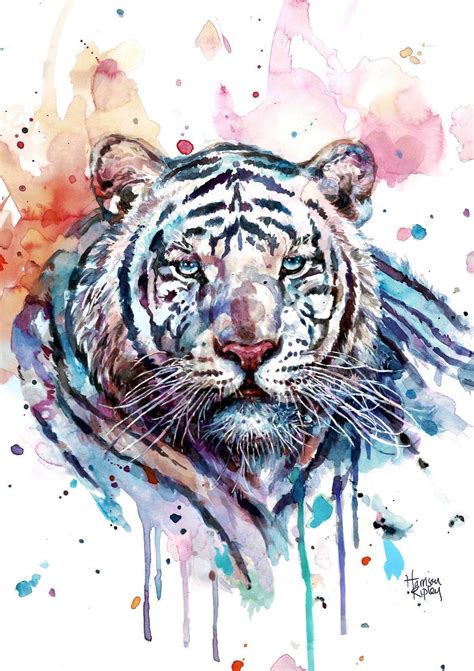 White Tiger Print by Harrison Ripley - Etsy UK | Sea turtle print ...