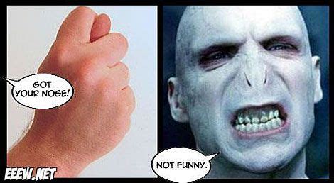 Voldemort Meme Got Your Nose