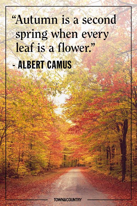 These Autumnal Quotes Will Put You in the Mood for Fall | Autumn quotes, Season quotes, Autumn poems