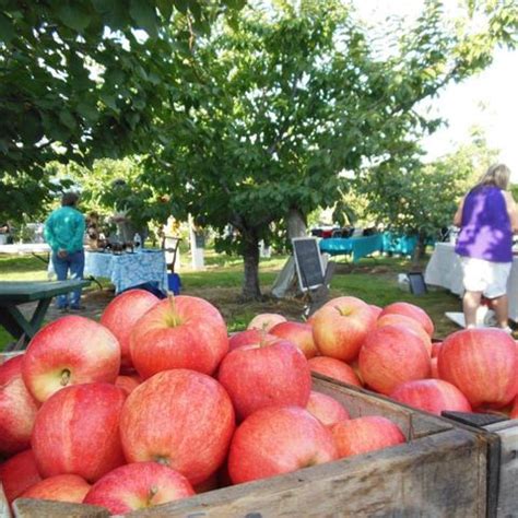 32 Best Apple Picking Places Near Me - Fall Apple Orchard Events