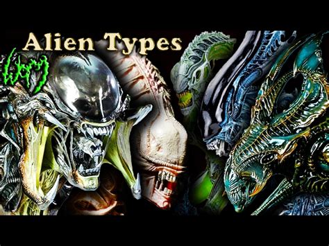 Aliens Xenomorph Types