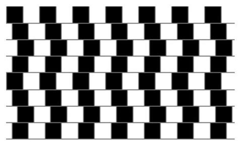 Are the horizontal lines parallel or do they slope? Optical Illusion ...