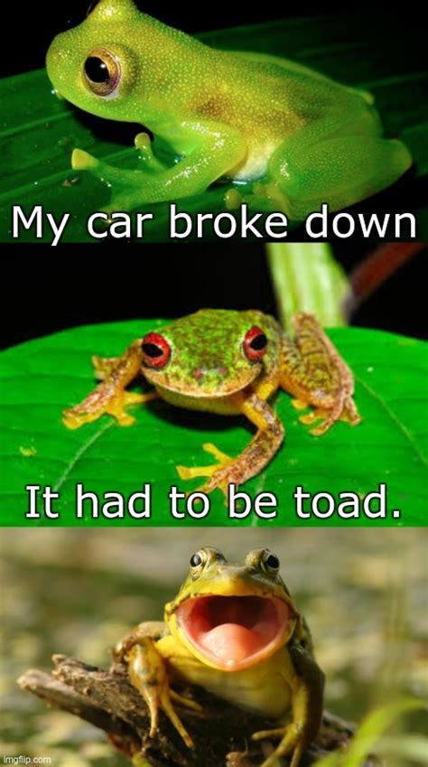 frogs Memes & GIFs - Imgflip