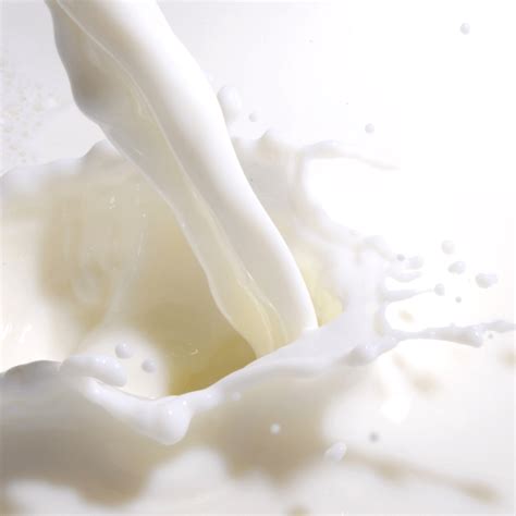 UHT Milk | Liquid dairy products - Foodcom S.A.