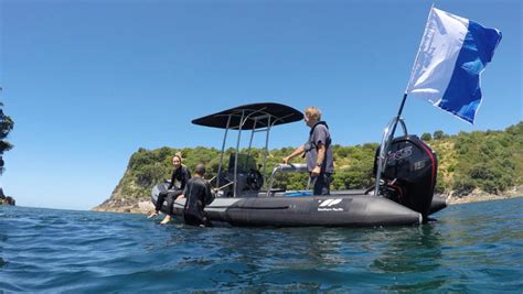 Cathedral Cove Snorkel Boat Tours | Activity in The Coromandel, New Zealand