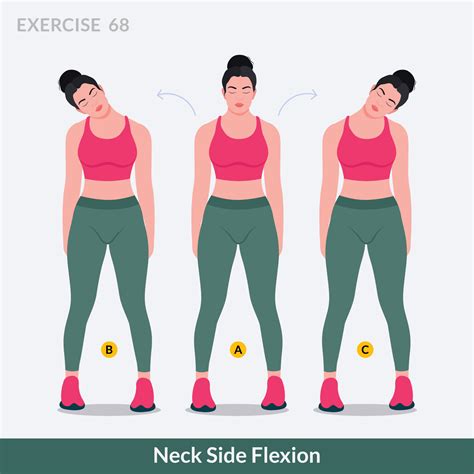 Neck Side Flexion exercise, Woman workout fitness, aerobic and ...