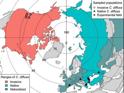 Range and population map of Centaurea in the Northern Hemisphere, by... | Download Scientific ...