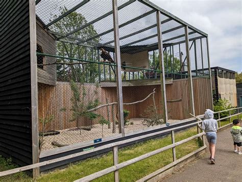 We visited the Suffolk Owl Sanctuary at Stonham Barns, the perfect day ...