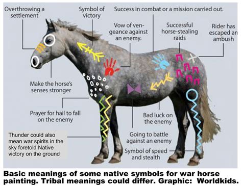 Indian Warhorse Paint