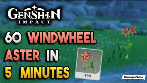 Genshin Impact Guide: Where to find the Windwheel Aster quickly