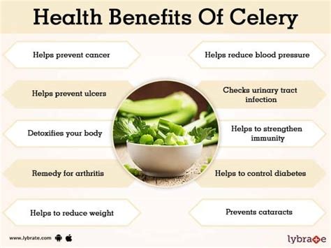 Benefits of Celery And Its Side Effects | Lybrate