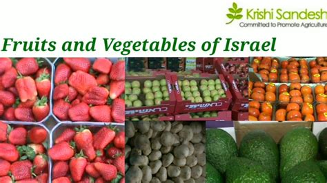 Fruits and vegetables of Israel - YouTube