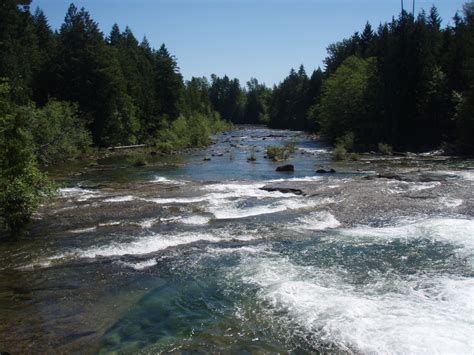 MOVING PAST MIGRATION BARRIERS: STUDY ON CHINOOK SALMON PUBLISHED IN AQUATIC SCIENCES