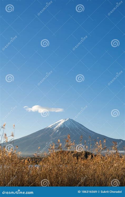 Mount Fuji View from Lake Kawaguchi. Vertical Shot. Stock Image - Image ...