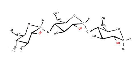 Bonding (intra/inter) - starch