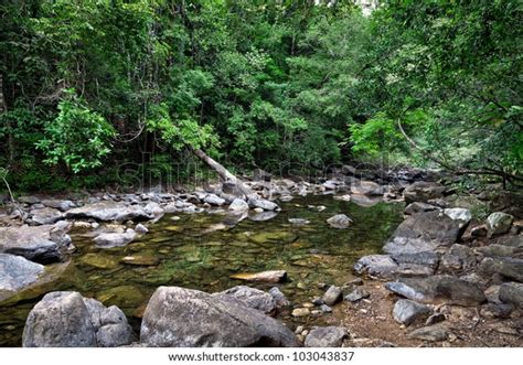 Emerald Forest Stock Photo (Edit Now) 103043837