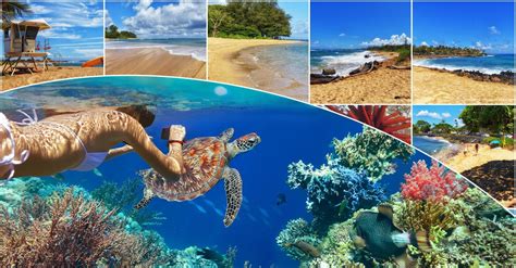 Best Kauai Snorkeling Spots | Boss Frog's Rentals Hawaii