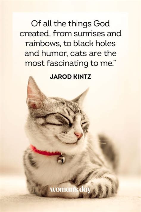 45 Best Cat Quotes - Cute Cat Sayings to Describe Your Kitten