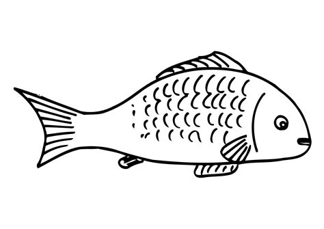 Free Printable Fish Coloring Pages For Kids