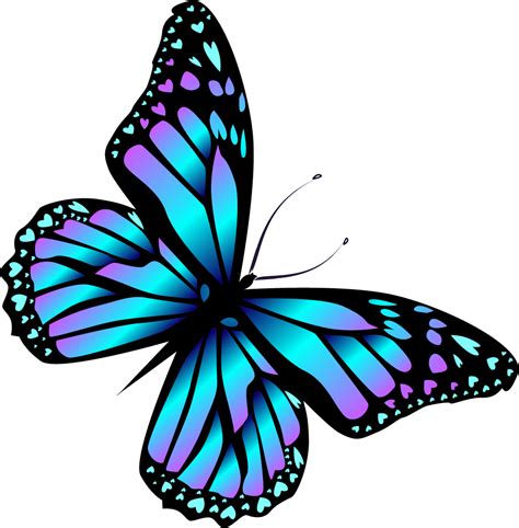 Monarch butterfly Cartoon Blue - Cartoon blue butterfly png download - 1001*1020 - Free ...