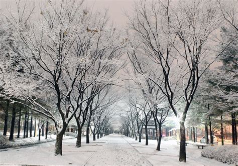 Winter South Korea Wallpapers - Wallpaper Cave