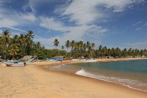 Découvrez Arugam Bay, ville côtière du sud-est