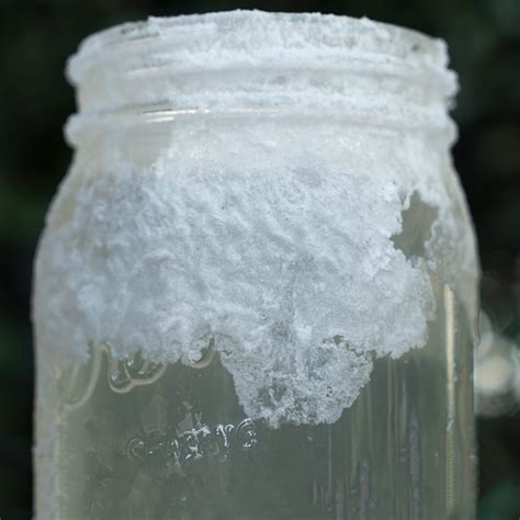 Salt Crystals Experiment. Grow your own crystals with salt and… | by Bayer US | The Beaker Life