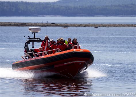 St. Andrews Ocean Adventures Whale Watching, St. Andrews, New Brunswick ...