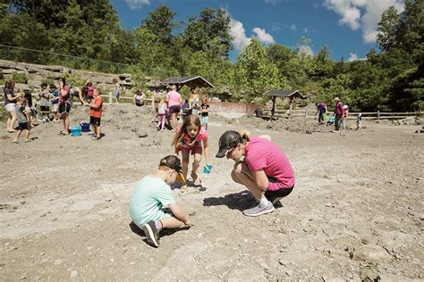 Dig in at Ohio’s Fossil Park