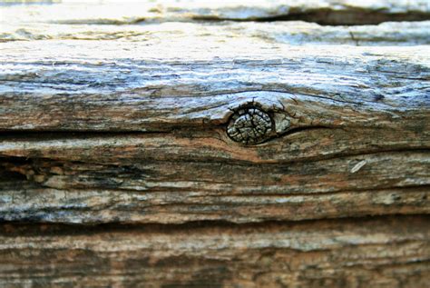 Knot In Wood Plank Free Stock Photo - Public Domain Pictures