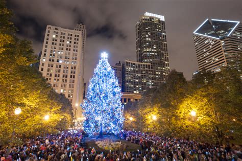 City of Chicago Christmas Tree Lighting | Chicago christmas tree ...