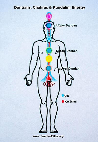 1. What is the dantian and why is it important? — Cellular ...