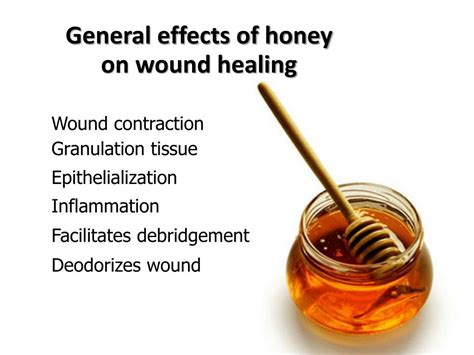 PPT - Wound Healing Properties of Honey PowerPoint Presentation, free ...