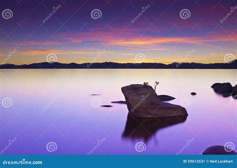 Bonsai Rock Sunset stock image. Image of beautiful, natural - 29613531