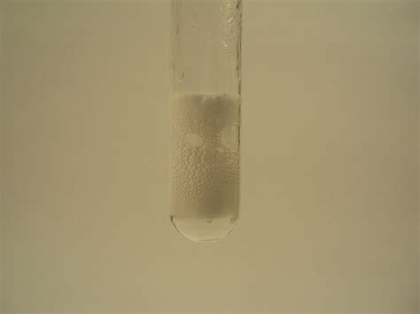 Reaction (rate) between magnesium ribbon and hydrochloric acid - WriteWork