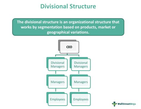 Divisional Structure - What Is It, Organization, Examples