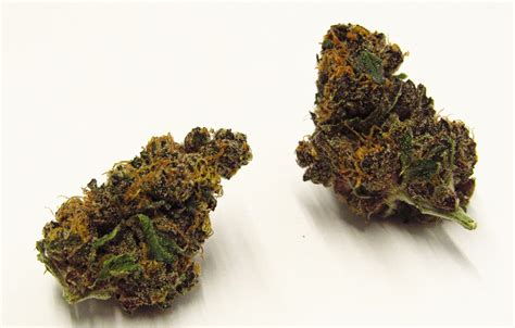 Dragon Fruit Strain Review | Westword