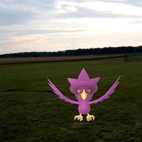 Found a shiny Murkrow in the middle of nowhere #Murkrow #Kramurx #shinyMurkrow #ShinyPokemon # ...