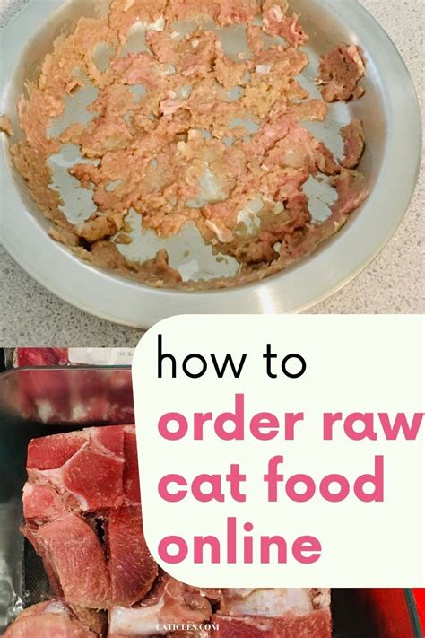 Raw Cat Food Brands That Deliver to You [Best of 2021] | Raw cat food recipes, Food, Cat food brands