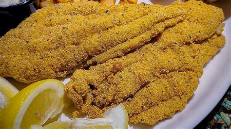 Huge Fried Catfish Fillet in Mesa, AZ