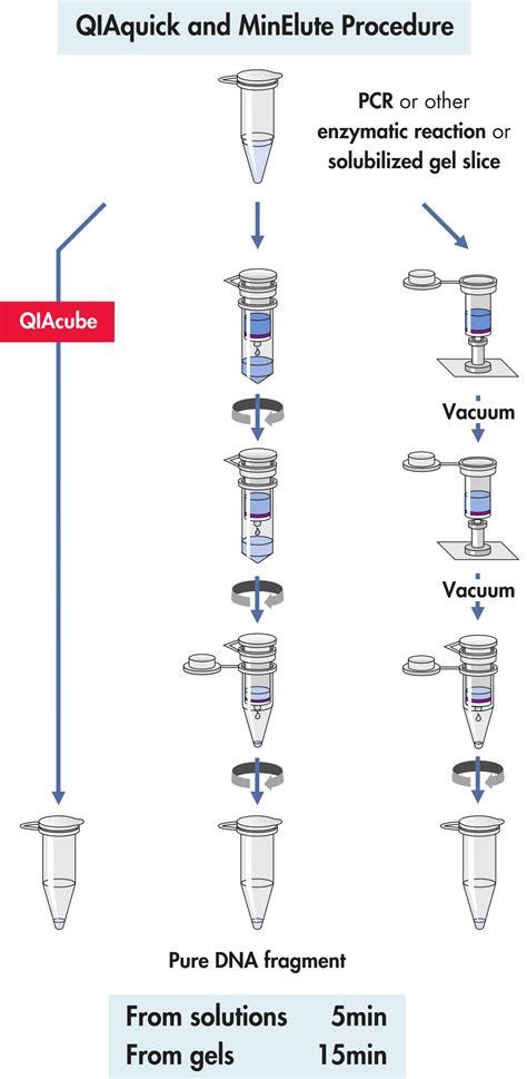 QIAquick PCR Purification Kit