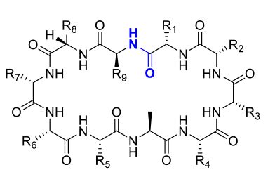 Cyclic Peptide Synthesis Service