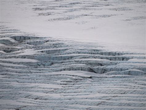 Exit Glacier, Alaska