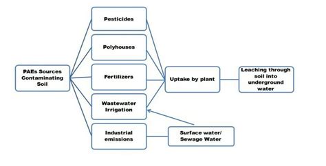 Soil Contamination sources of PAEs. | Download Scientific Diagram