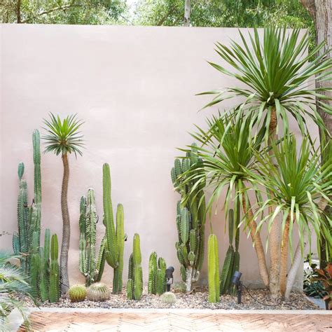 Small cactus garden | Cactus garden design, Backyard landscaping ...