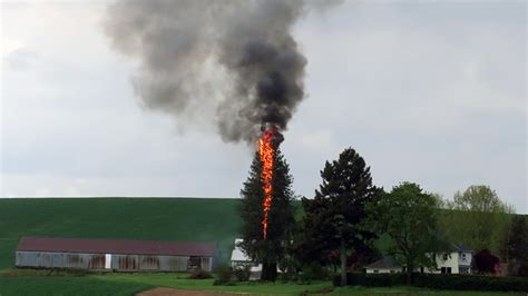 Lightning strikes tree, sparks fire in Stayton | KMTR