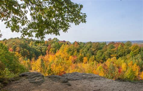 You've Got About a Week Left to Catch Peak Fall Foliage Colors in ...