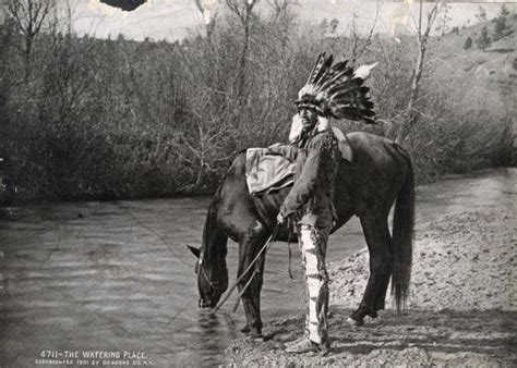 Chief Cornstalk: Shawnee Lineage | Native american spirituality, Native american ancestry ...