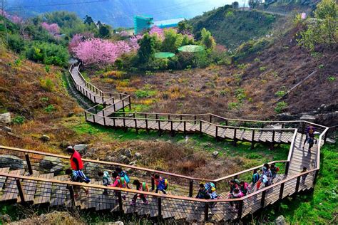 Chiayi, Taiwan 2023: Best Places to Visit - Tripadvisor